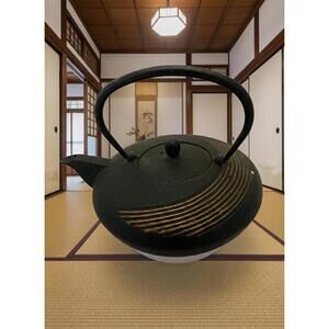 One of the kind  Japanese Cast Iron Teapot
